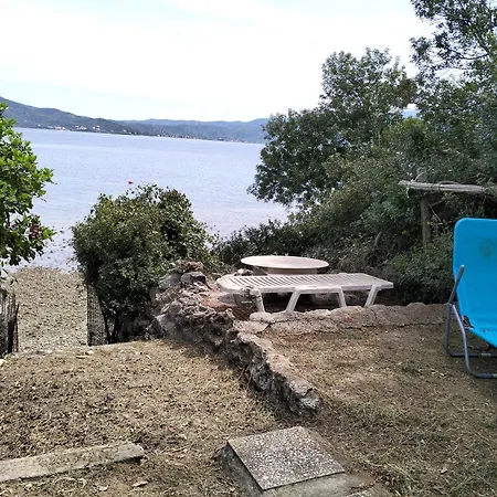 Greeksummer *