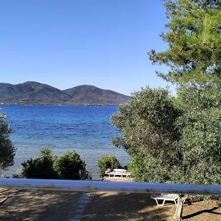Lägenhet Greeksummer *