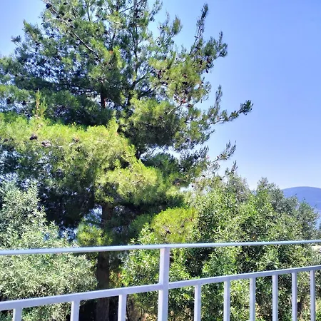 Greeksummer