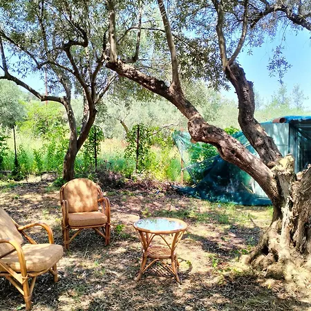 Greeksummer * אדיפסוס