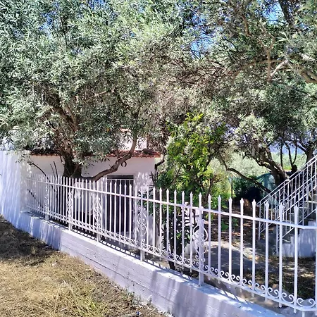 Greeksummer * אדיפסוס