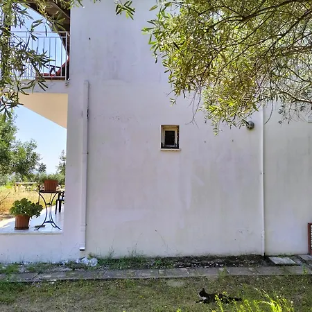 Greeksummer *