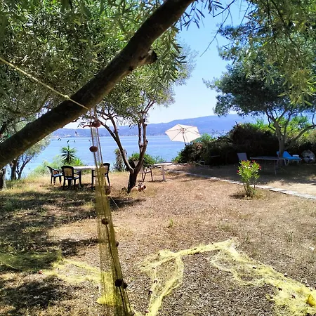 Greeksummer Edipsos
