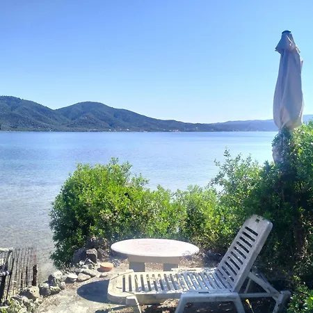 Greeksummer *