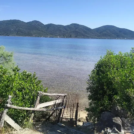 Greeksummer *