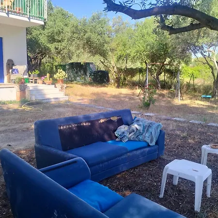 Greeksummer Edipsos